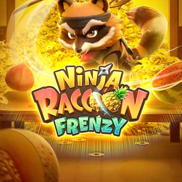 Ninja Raccoon Frenzy