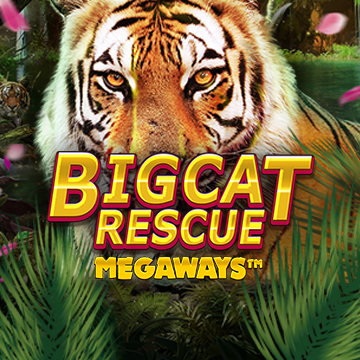 Big Cat Rescue Megaways