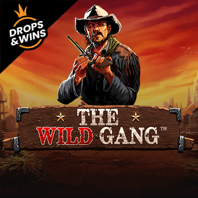 The Wild Gang